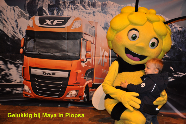 daf-plopsa-maya7C1D1B81-EB69-F859-BD57-78CA2B4775D6.png